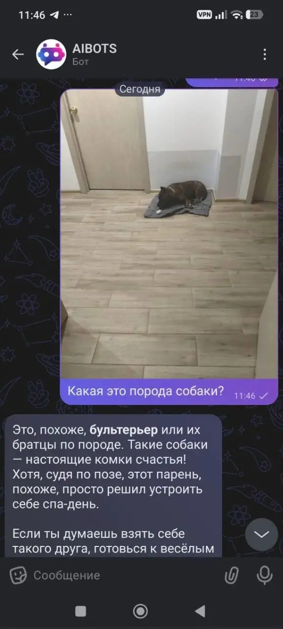 Анализ изображения в чате AIBOTS
